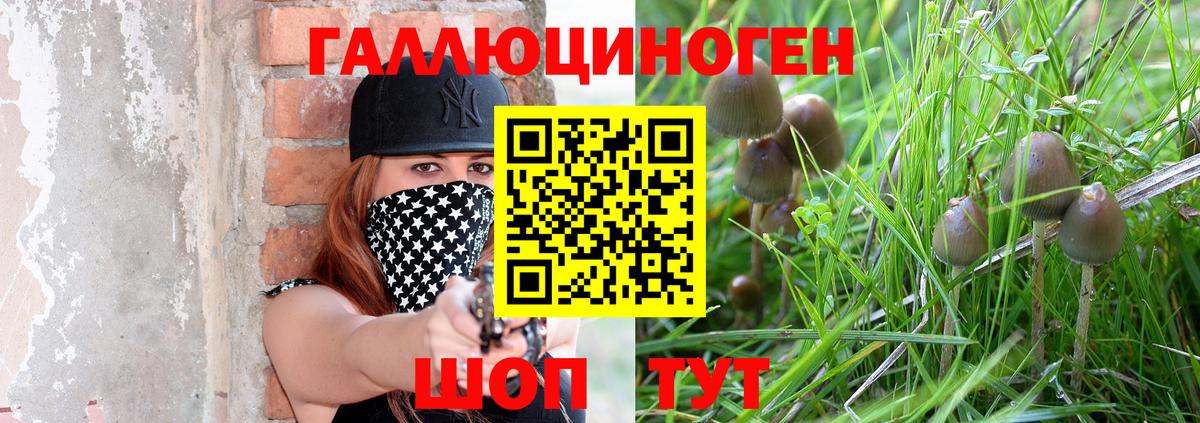 Когалым  Галлюциногенные грибы мицелий  Вход с VPN  Галлюциногенные грибы прущие грибы 