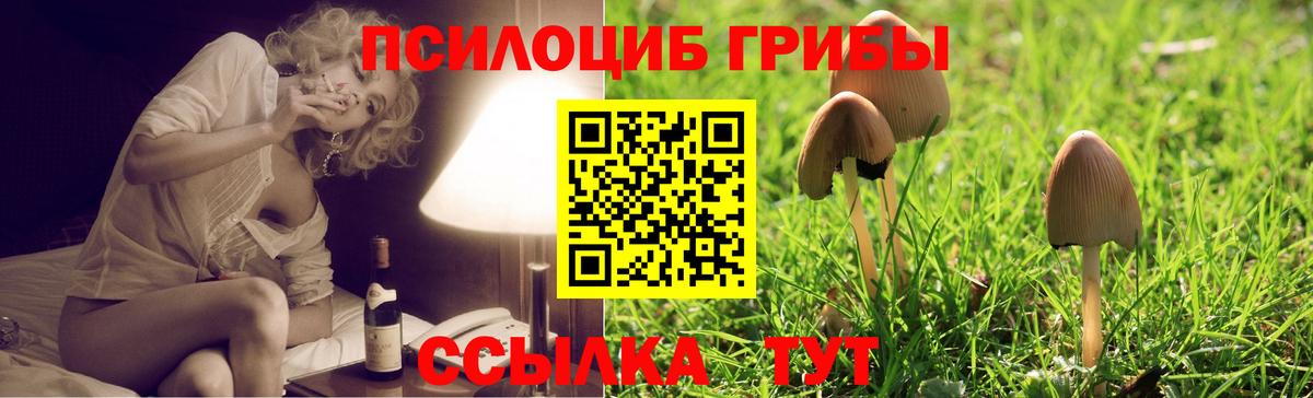 Псилоцибиновые грибы Magic Shrooms Когалым